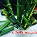 Lukay Straw, how to make a lukay straw, plastic straw, Solid Waste Management Ordinance